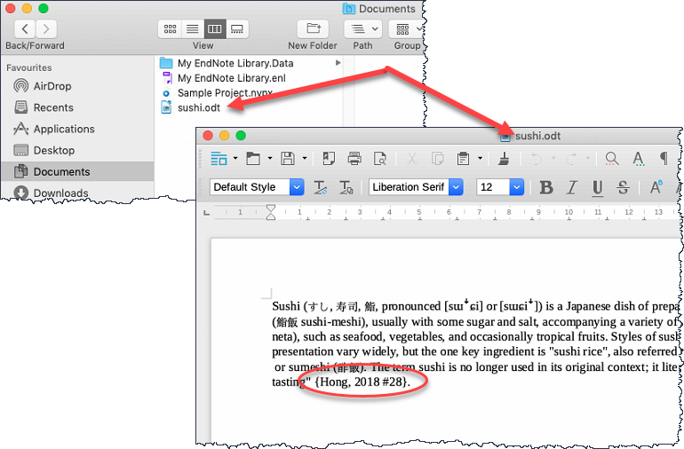 office for mac numbering endnotes