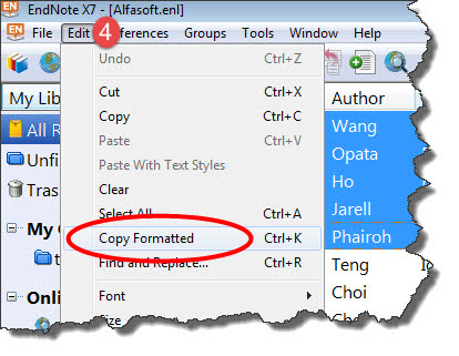 Copy formatted