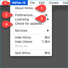 nvivo version